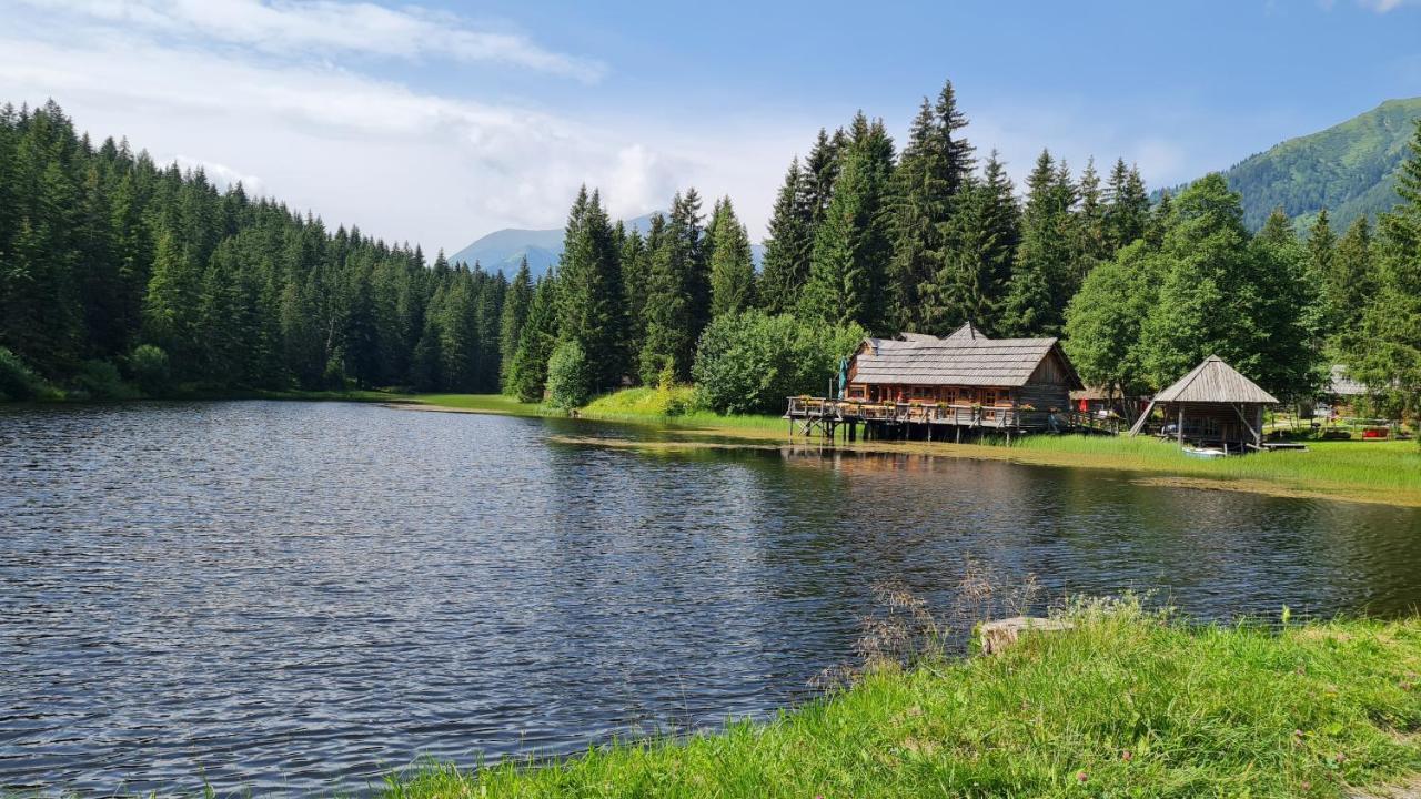 Holiday home Haus Emmy - Urlaub Bei Freunden Hohentauern